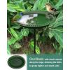 imageGarbuildman ExtraLarge Freestanding Birdbaths Bowl Detachable Decoration Spa with Metal Stake Stand ampamp Birdfeeder for Outdoor Garden Oval Style ChocolateGreen
